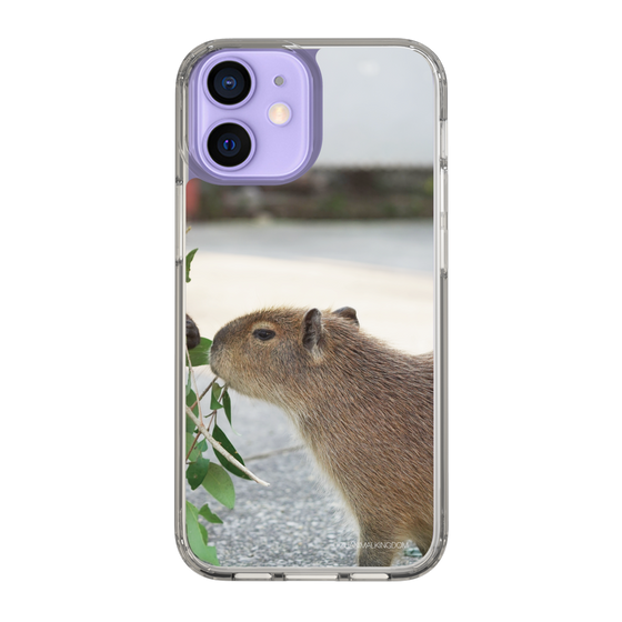 Slim Protection Case［ The Izu Animal Kingdom - Capybara ］