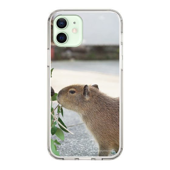 Slim Protection Case［ The Izu Animal Kingdom - Capybara ］