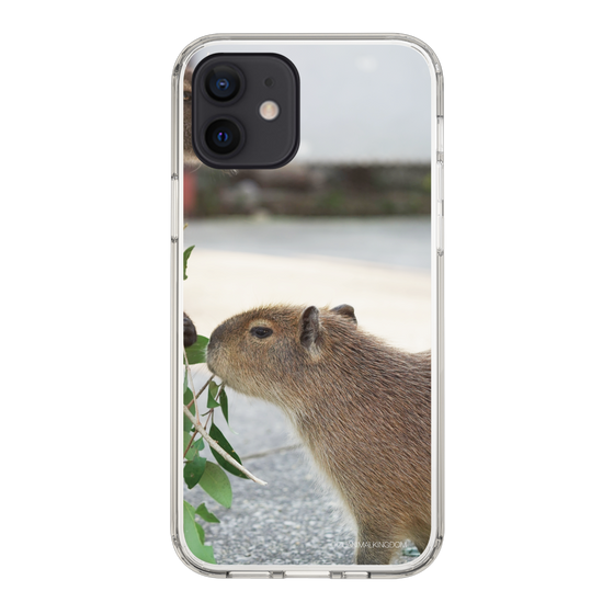 Slim Protection Case［ The Izu Animal Kingdom - Capybara ］