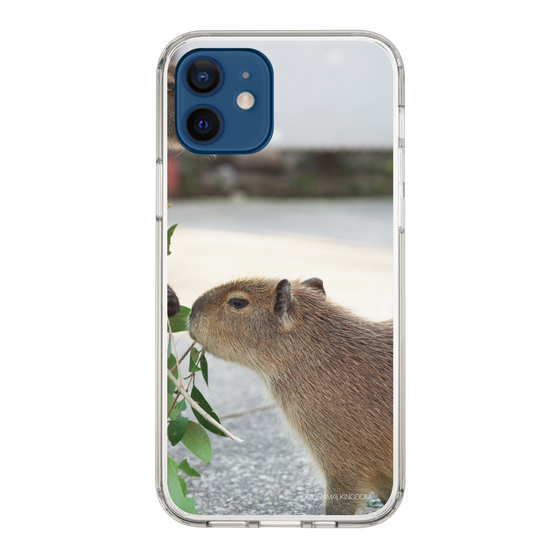 Slim Protection Case［ The Izu Animal Kingdom - Capybara ］