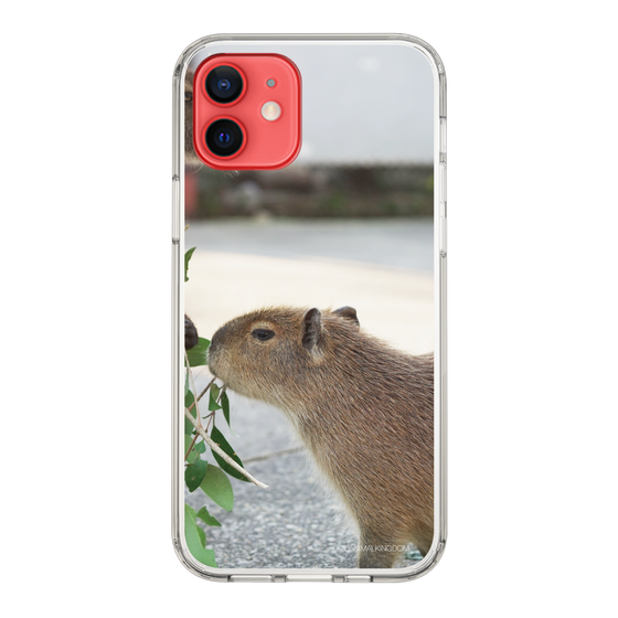 Slim Protection Case［ The Izu Animal Kingdom - Capybara ］