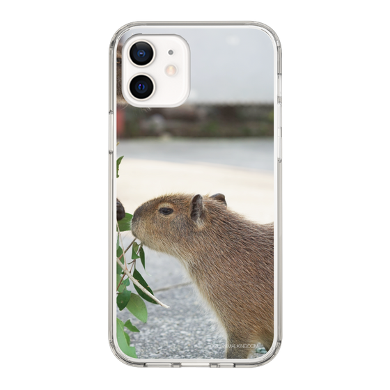 Slim Protection Case［ The Izu Animal Kingdom - Capybara ］