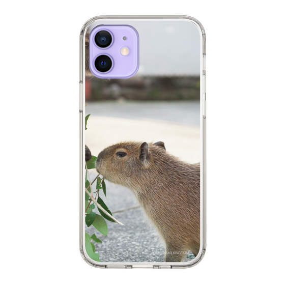 Slim Protection Case［ The Izu Animal Kingdom - Capybara ］