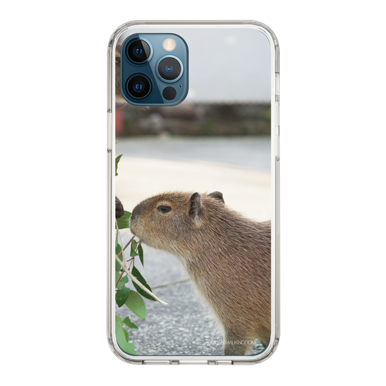 Slim Protection Case［ The Izu Animal Kingdom - Capybara ］