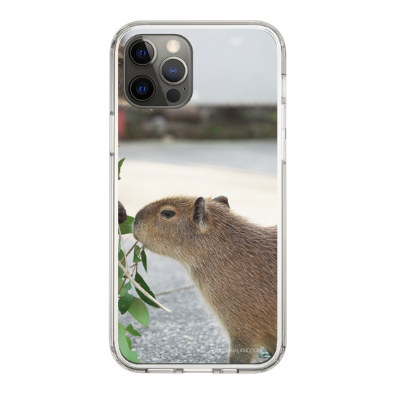 Slim Protection Case［ The Izu Animal Kingdom - Capybara ］