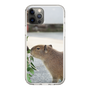 Slim Protection Case［ The Izu Animal Kingdom - Capybara ］