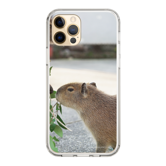 Slim Protection Case［ The Izu Animal Kingdom - Capybara ］