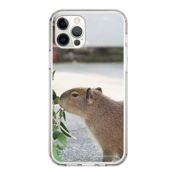 Slim Protection Case［ The Izu Animal Kingdom - Capybara ］