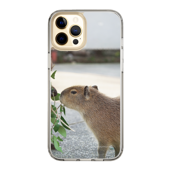 Slim Protection Case［ The Izu Animal Kingdom - Capybara ］