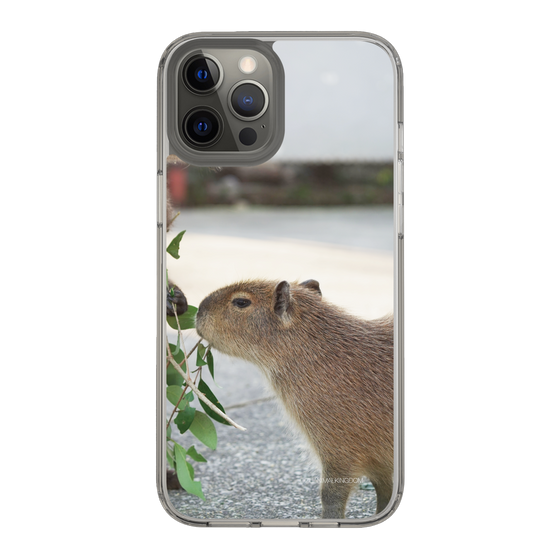 Slim Protection Case［ The Izu Animal Kingdom - Capybara ］