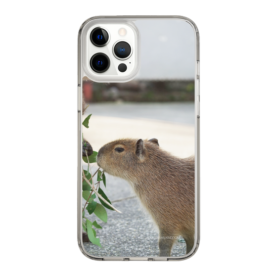 Slim Protection Case［ The Izu Animal Kingdom - Capybara ］