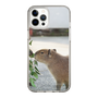 Slim Protection Case［ The Izu Animal Kingdom - Capybara ］