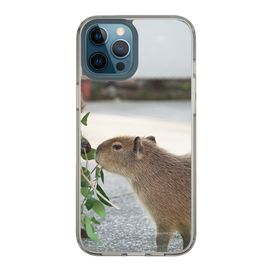Slim Protection Case［ The Izu Animal Kingdom - Capybara ］