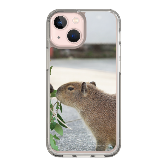 Slim Protection Case［ The Izu Animal Kingdom - Capybara ］