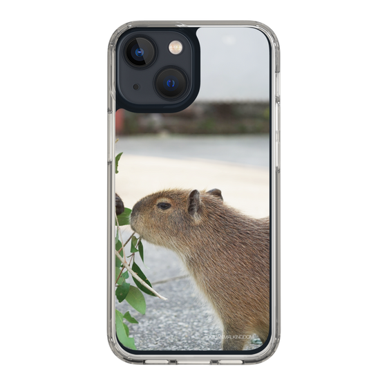Slim Protection Case［ The Izu Animal Kingdom - Capybara ］