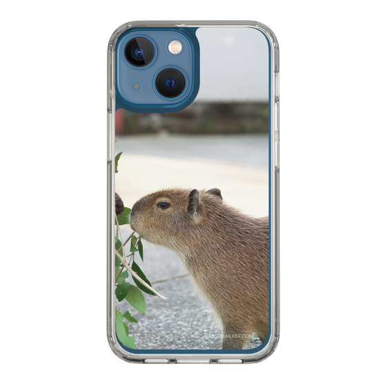 Slim Protection Case［ The Izu Animal Kingdom - Capybara ］