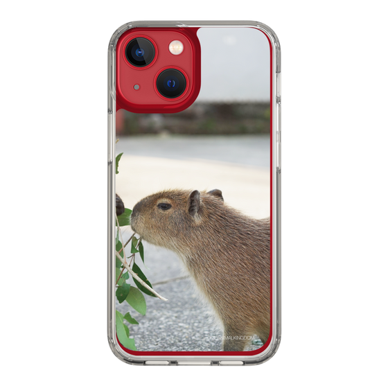 Slim Protection Case［ The Izu Animal Kingdom - Capybara ］