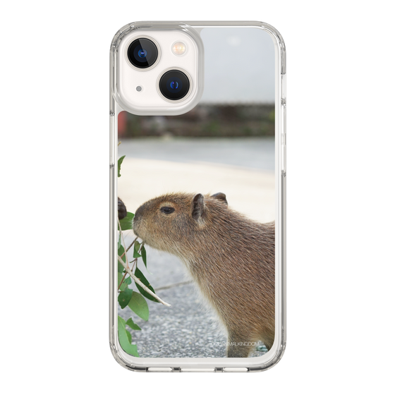 Slim Protection Case［ The Izu Animal Kingdom - Capybara ］