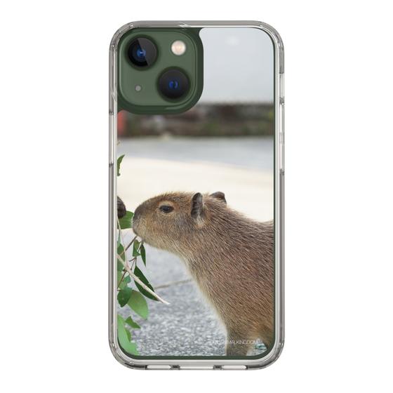Slim Protection Case［ The Izu Animal Kingdom - Capybara ］
