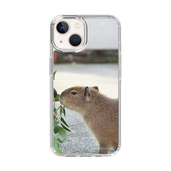 Slim Protection Case［ The Izu Animal Kingdom - Capybara ］