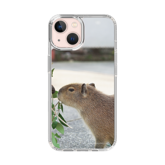 Slim Protection Case［ The Izu Animal Kingdom - Capybara ］