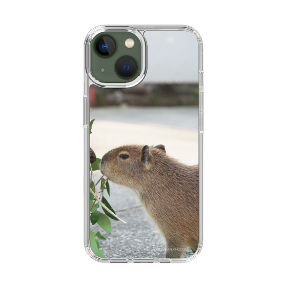 Slim Protection Case［ The Izu Animal Kingdom - Capybara ］
