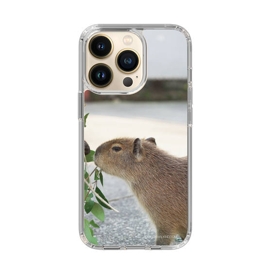 Slim Protection Case［ The Izu Animal Kingdom - Capybara ］