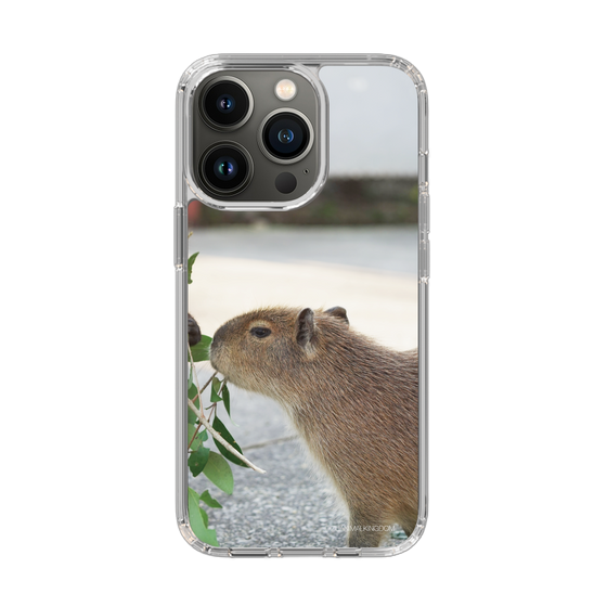 Slim Protection Case［ The Izu Animal Kingdom - Capybara ］