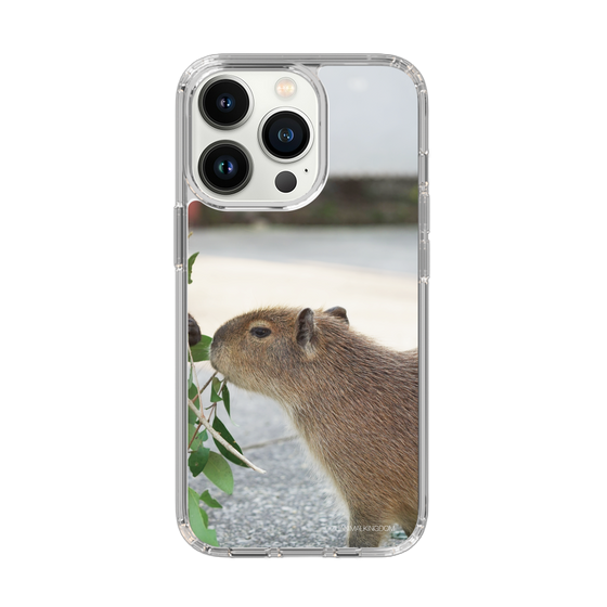 Slim Protection Case［ The Izu Animal Kingdom - Capybara ］