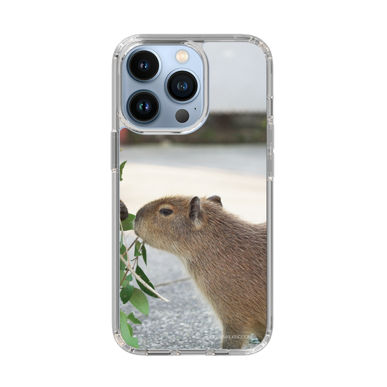 Slim Protection Case［ The Izu Animal Kingdom - Capybara ］
