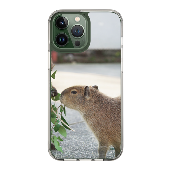 Slim Protection Case［ The Izu Animal Kingdom - Capybara ］
