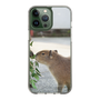 Slim Protection Case［ The Izu Animal Kingdom - Capybara ］
