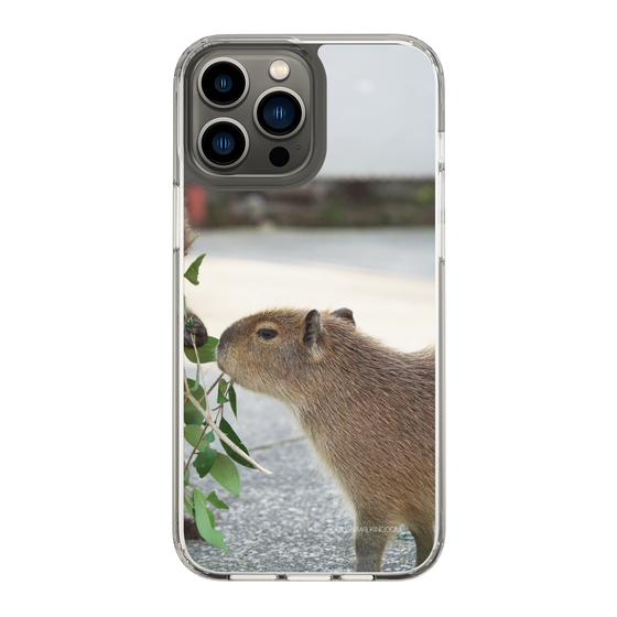 Slim Protection Case［ The Izu Animal Kingdom - Capybara ］