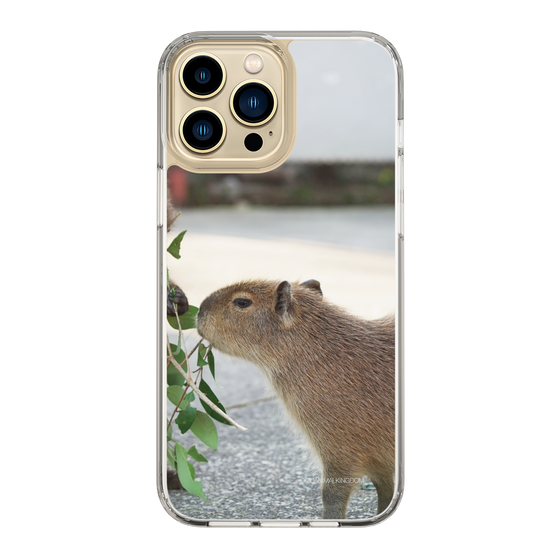 Slim Protection Case［ The Izu Animal Kingdom - Capybara ］