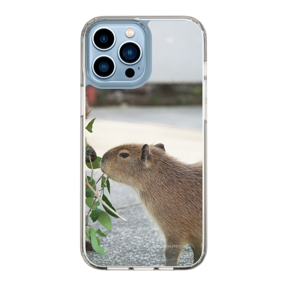 Slim Protection Case［ The Izu Animal Kingdom - Capybara ］