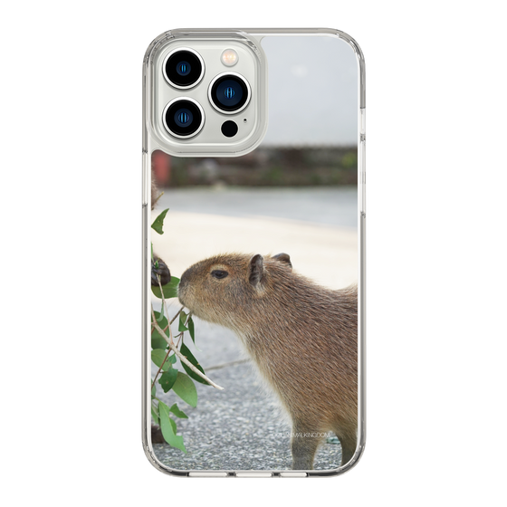 Slim Protection Case［ The Izu Animal Kingdom - Capybara ］