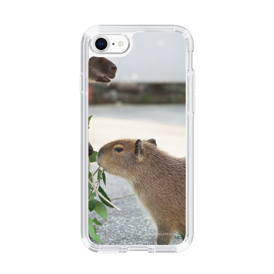 Slim Protection Case［ The Izu Animal Kingdom - Capybara ］