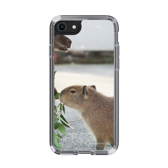 Slim Protection Case［ The Izu Animal Kingdom - Capybara ］