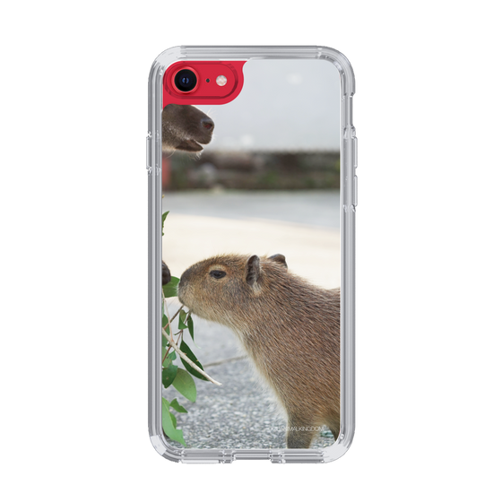 Slim Protection Case［ The Izu Animal Kingdom - Capybara ］