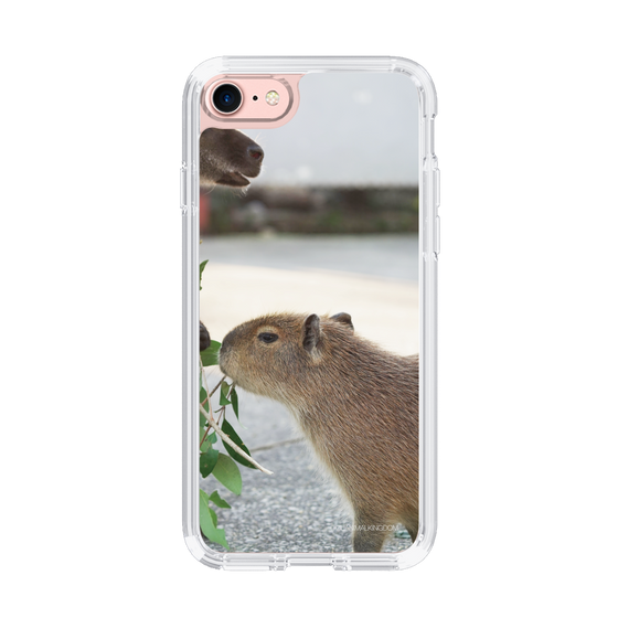 Slim Protection Case［ The Izu Animal Kingdom - Capybara ］