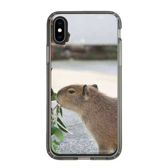 Slim Protection Case［ The Izu Animal Kingdom - Capybara ］