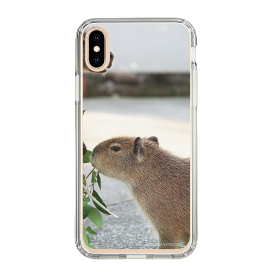 Slim Protection Case［ The Izu Animal Kingdom - Capybara ］
