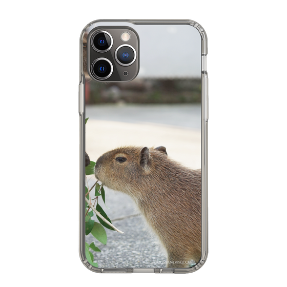 Slim Protection Case［ The Izu Animal Kingdom - Capybara ］