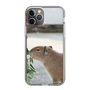 Slim Protection Case［ The Izu Animal Kingdom - Capybara ］