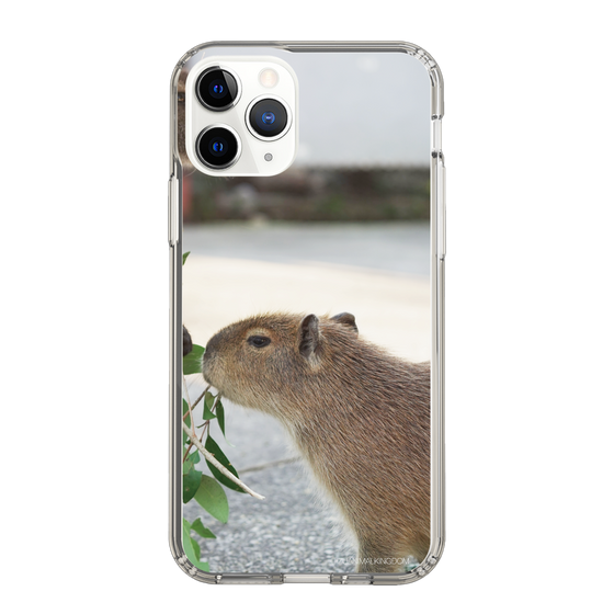 Slim Protection Case［ The Izu Animal Kingdom - Capybara ］