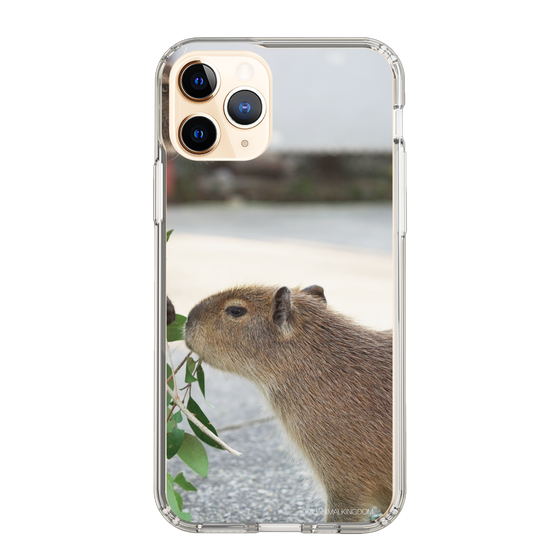 Slim Protection Case［ The Izu Animal Kingdom - Capybara ］