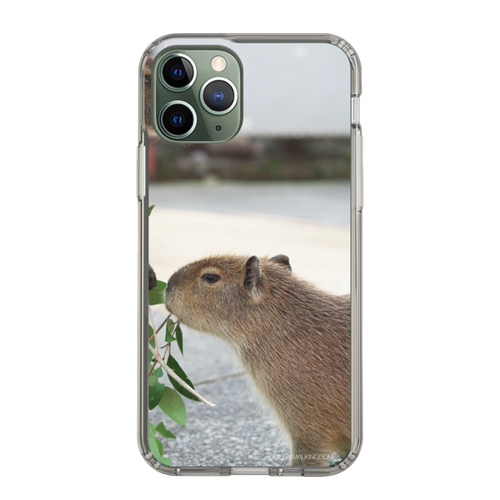 Slim Protection Case［ The Izu Animal Kingdom - Capybara ］