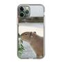 Slim Protection Case［ The Izu Animal Kingdom - Capybara ］