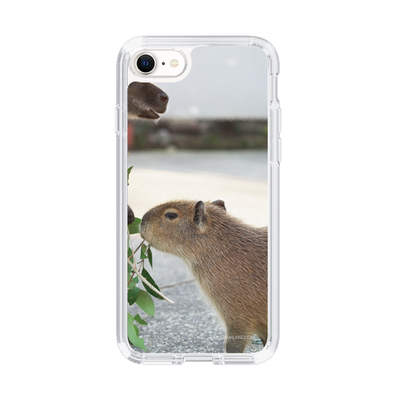 Slim Protection Case［ The Izu Animal Kingdom - Capybara ］