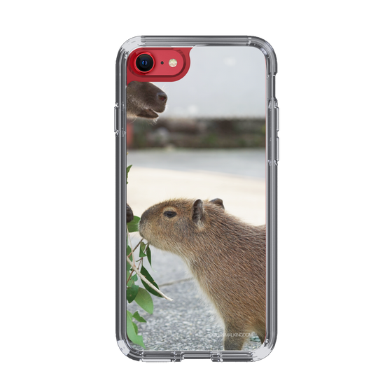 Slim Protection Case［ The Izu Animal Kingdom - Capybara ］